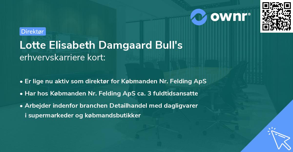 Lotte Elisabeth Damgaard Bull's erhvervskarriere kort