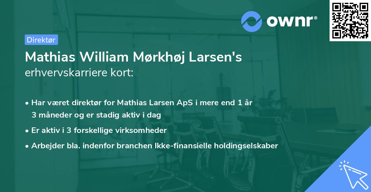 Mathias William Mørkhøj Larsen's erhvervskarriere kort