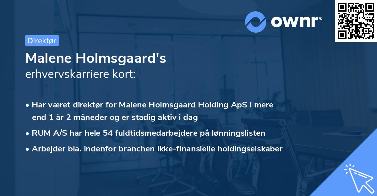 Malene Holmsgaard's erhvervskarriere kort