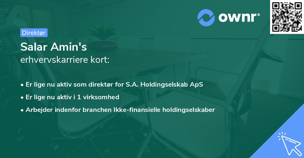 Salar Amin's erhvervskarriere kort