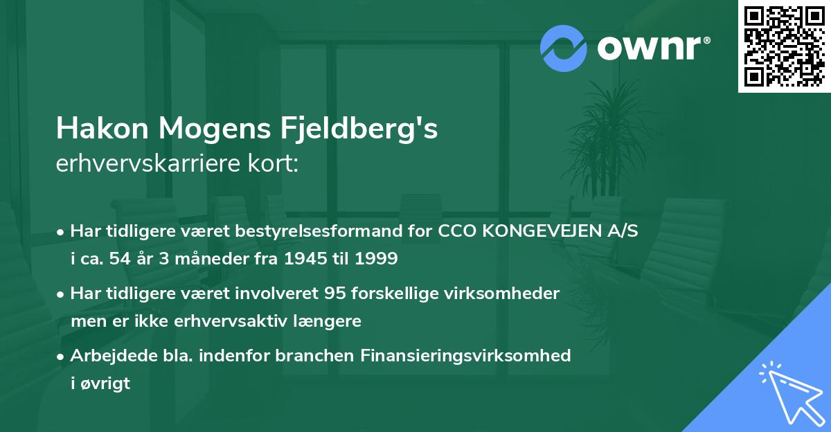 Hakon Mogens Fjeldberg's erhvervskarriere kort