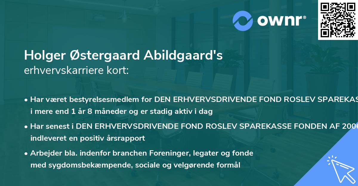 Holger Østergaard Abildgaard's erhvervskarriere kort