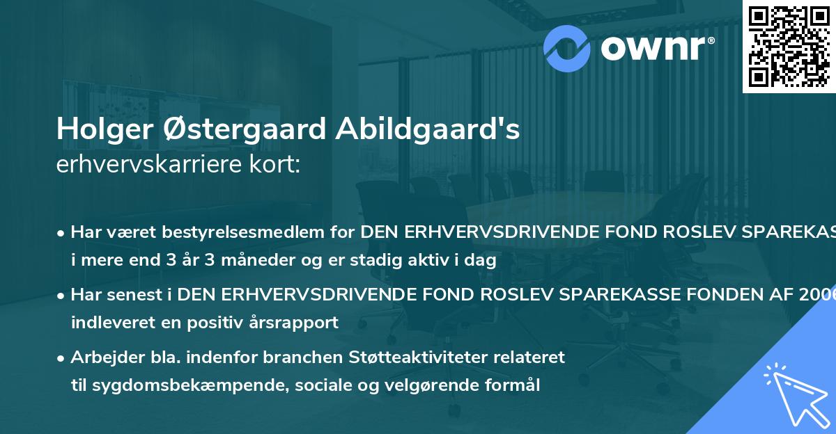 Holger Østergaard Abildgaard's erhvervskarriere kort