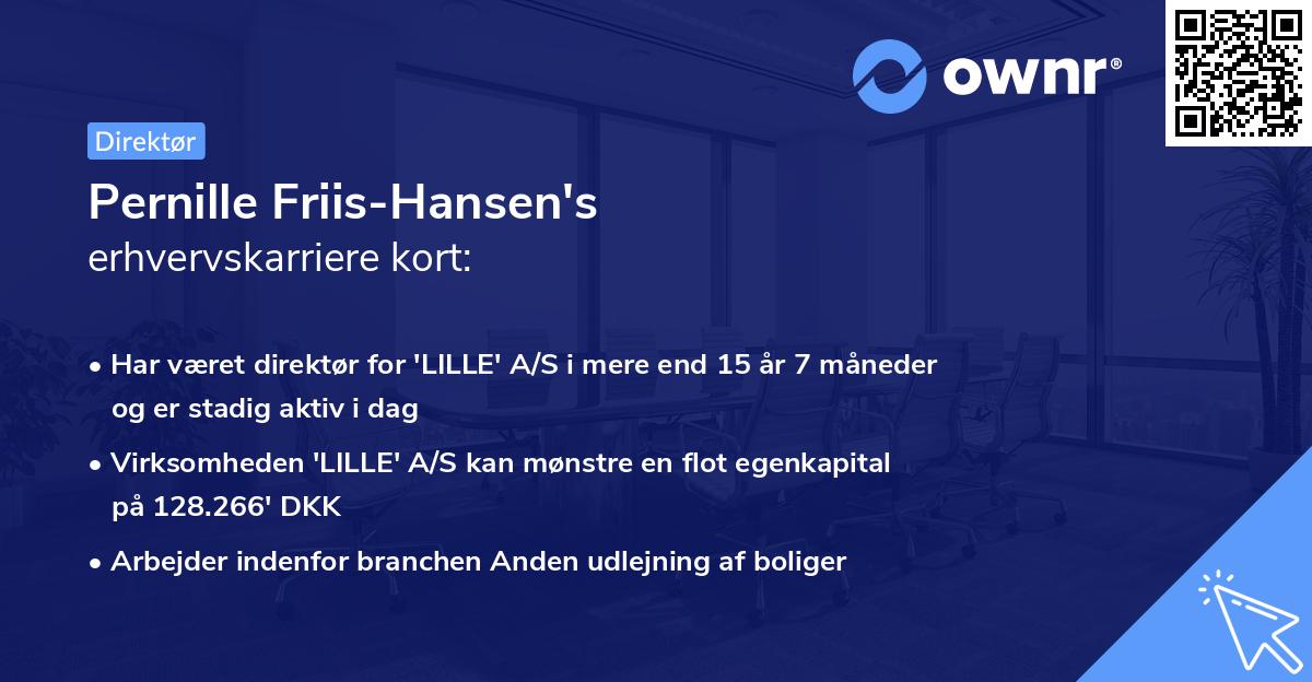 Pernille Friis-Hansen's erhvervskarriere kort
