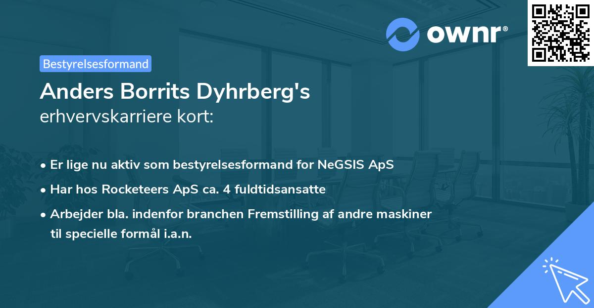 Anders Borrits Dyhrberg's erhvervskarriere kort