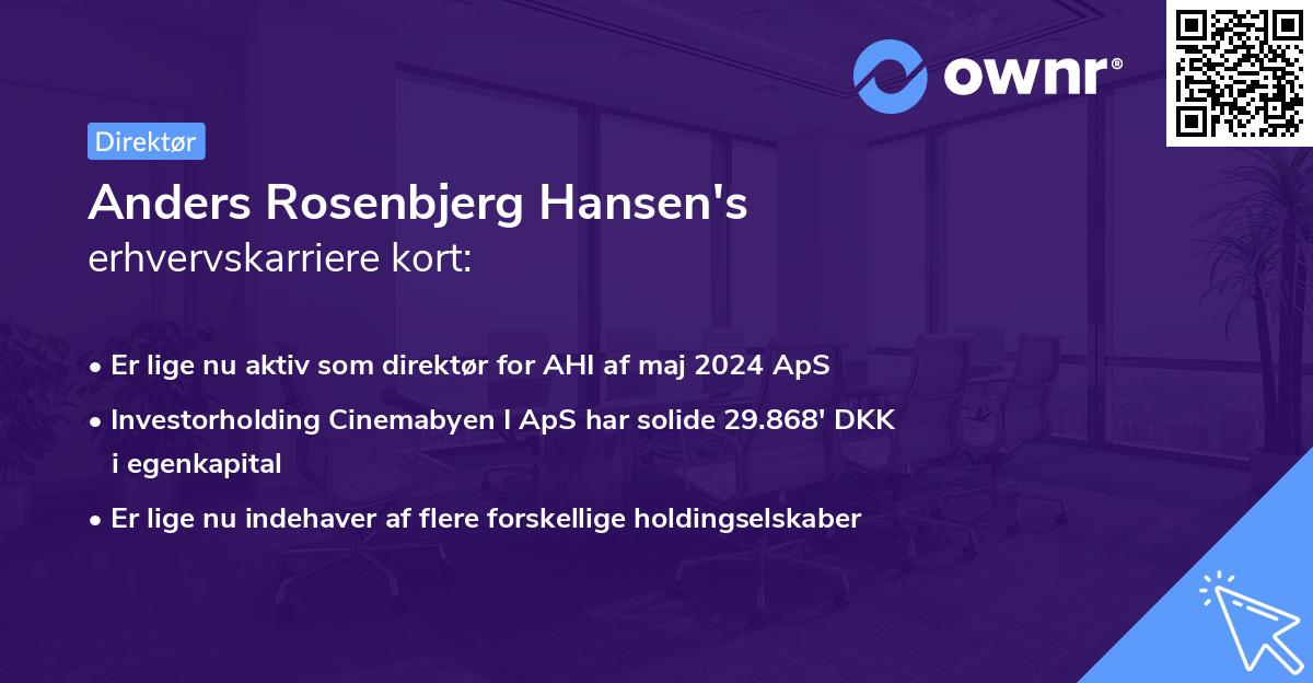 Anders Rosenbjerg Hansen's erhvervskarriere kort