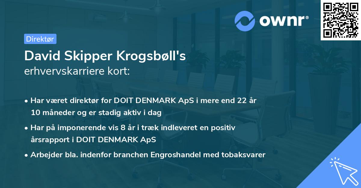 David Skipper Krogsbøll's erhvervskarriere kort