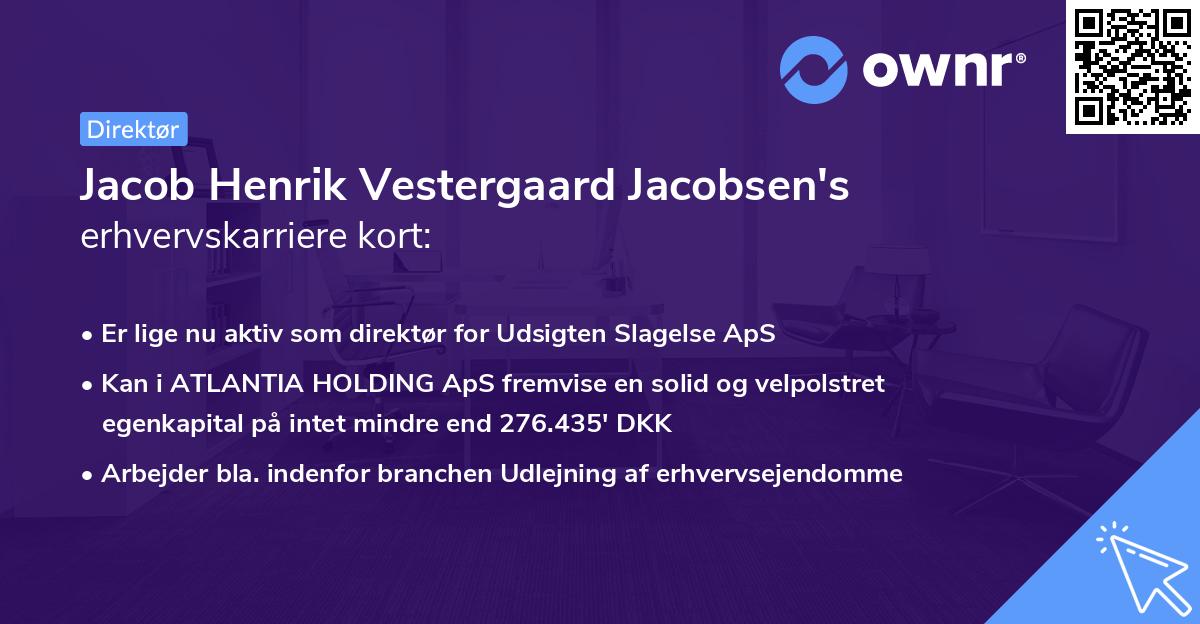 Jacob Henrik Vestergaard Jacobsen's erhvervskarriere kort