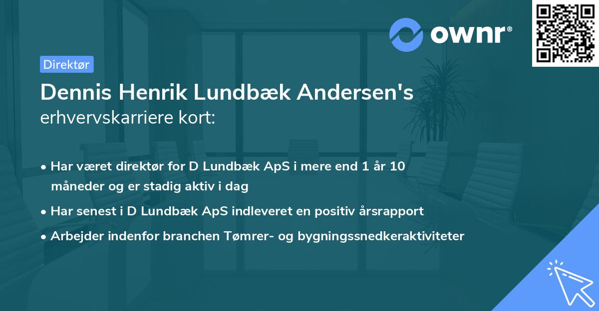 Dennis Henrik Lundbæk Andersen's erhvervskarriere kort