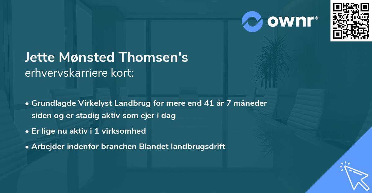 Jette Mønsted Thomsen's erhvervskarriere kort