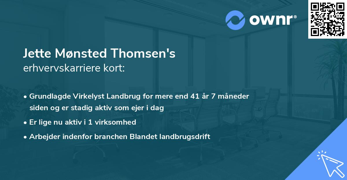 Jette Mønsted Thomsen's erhvervskarriere kort