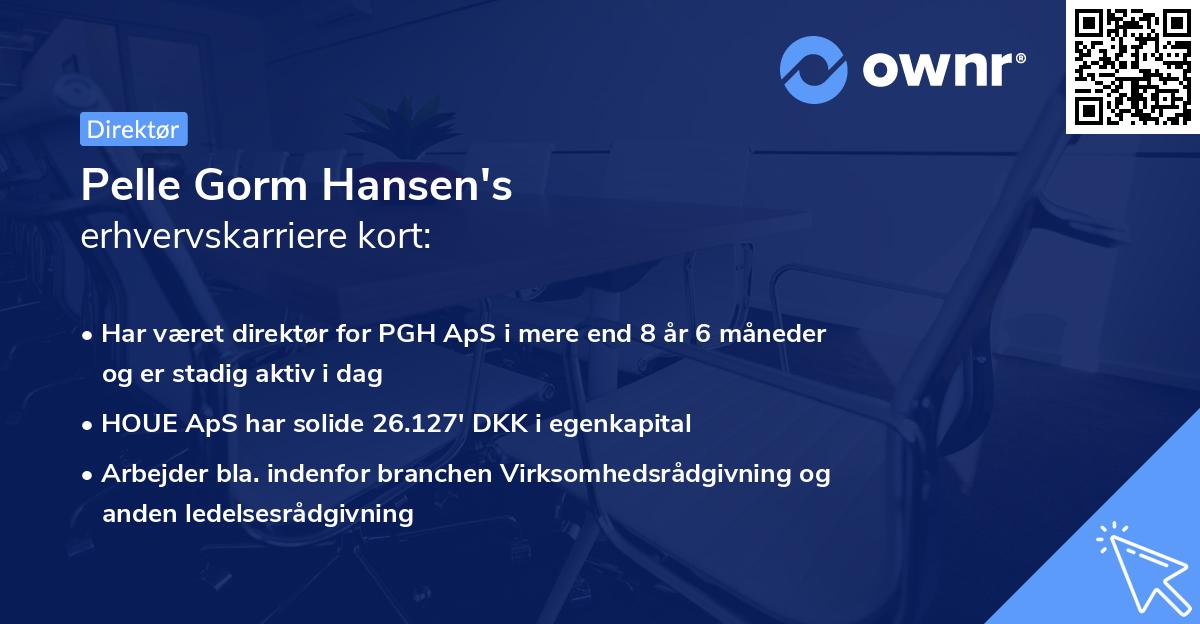 Pelle Gorm Hansen's erhvervskarriere kort