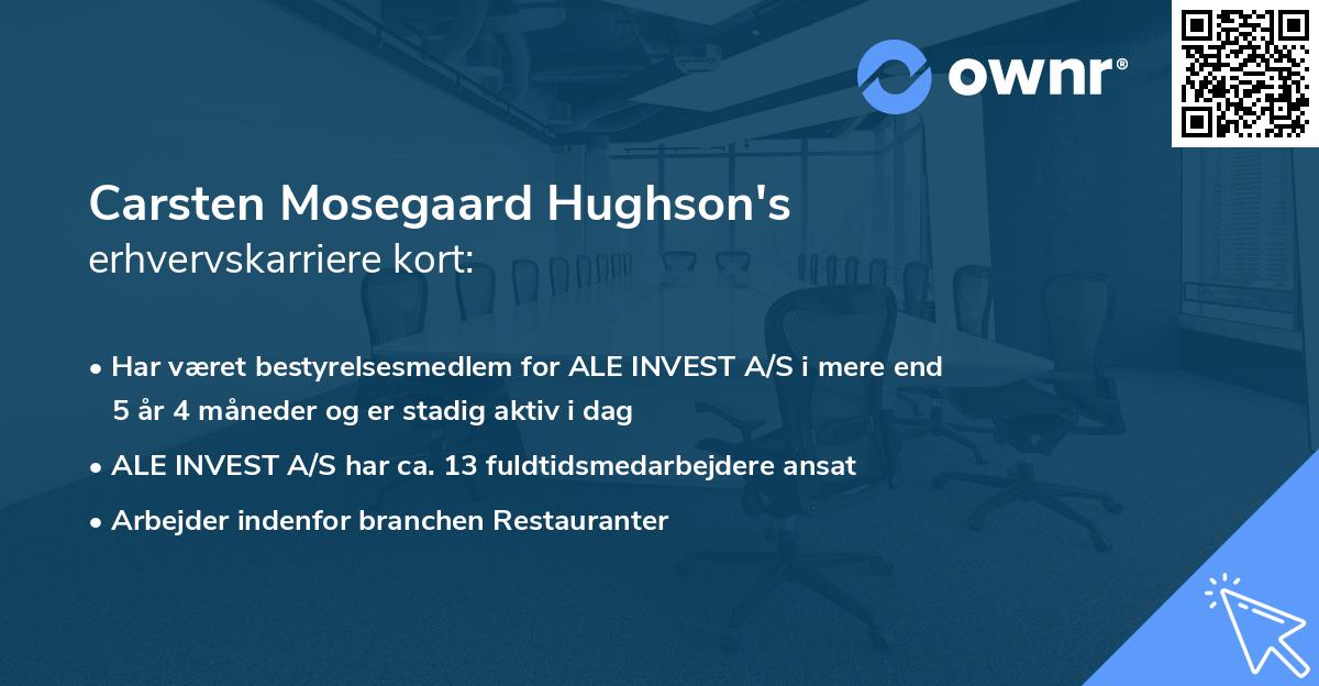 Carsten Mosegaard Hughson's erhvervskarriere kort