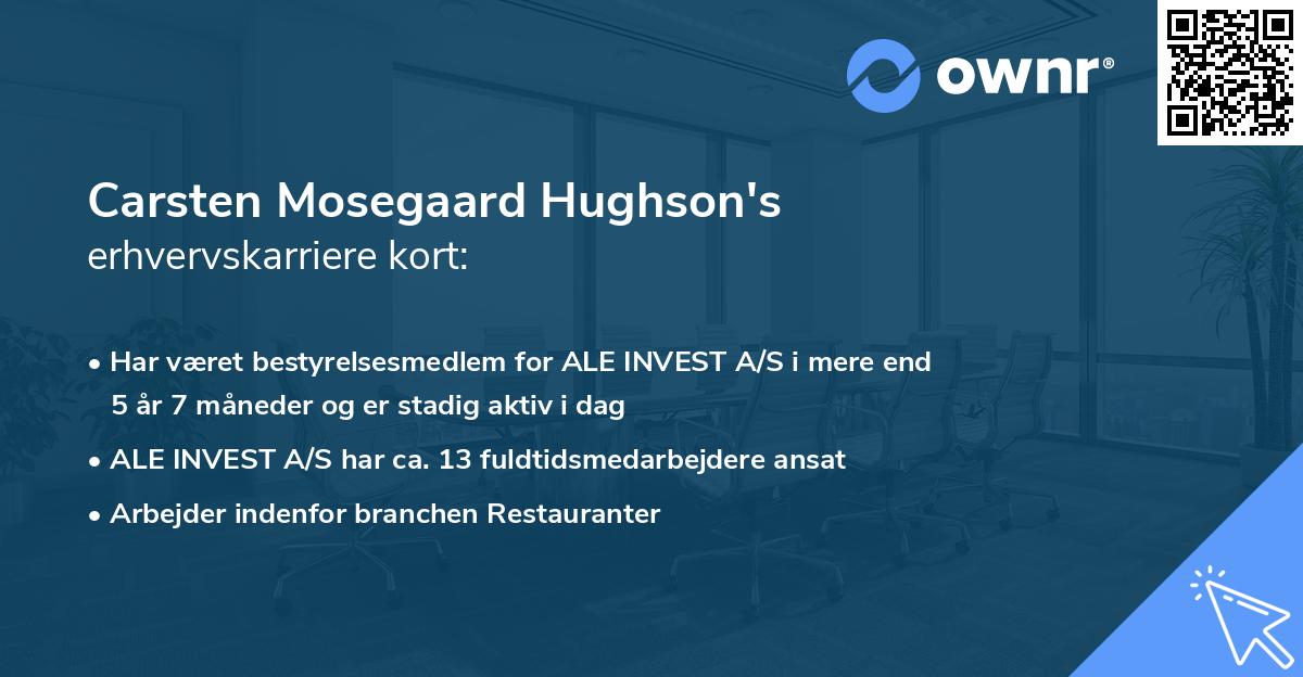 Carsten Mosegaard Hughson's erhvervskarriere kort