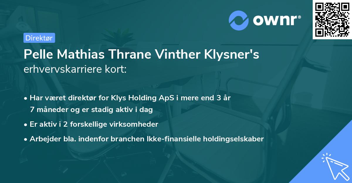 Pelle Mathias Thrane Vinther Klysner's erhvervskarriere kort
