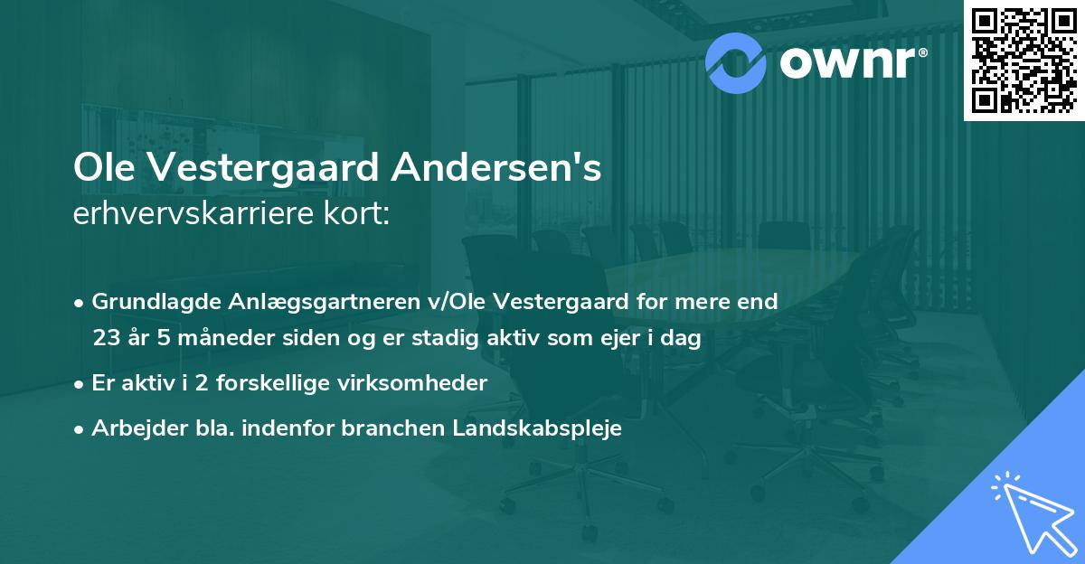 Ole Vestergaard Andersen's erhvervskarriere kort