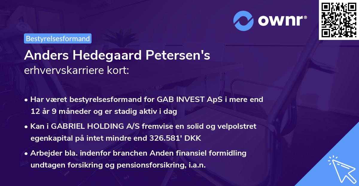 Anders Hedegaard Petersen's erhvervskarriere kort