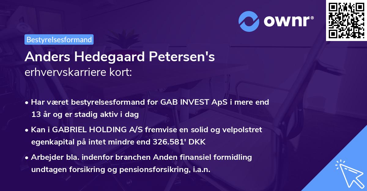 Anders Hedegaard Petersen's erhvervskarriere kort