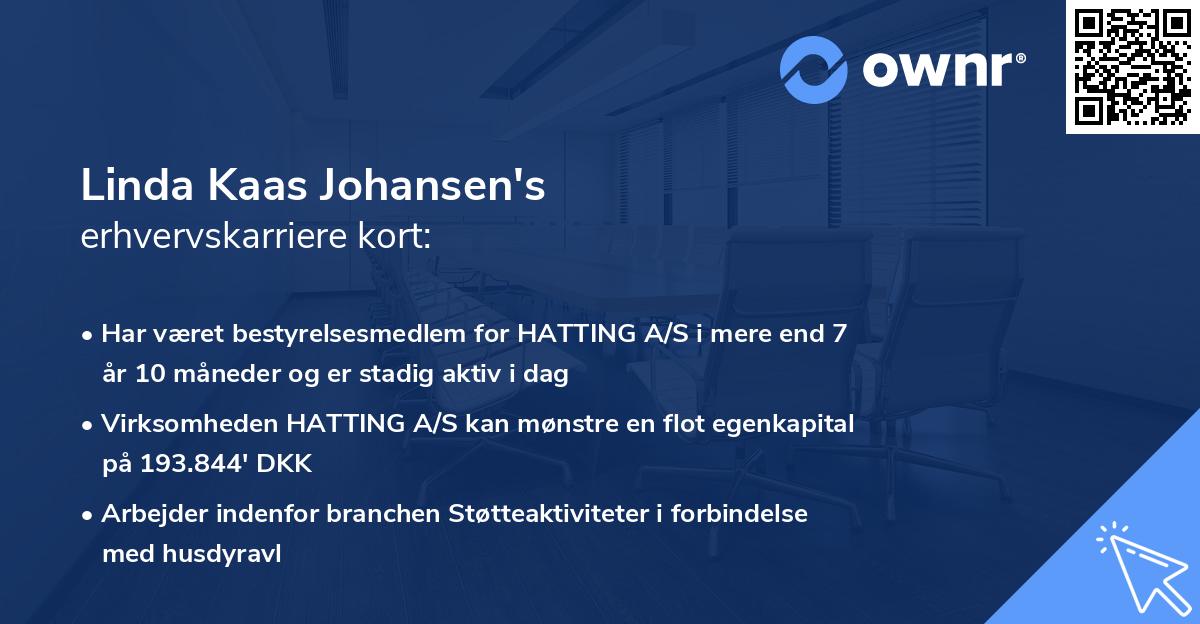 Linda Kaas Johansen's erhvervskarriere kort