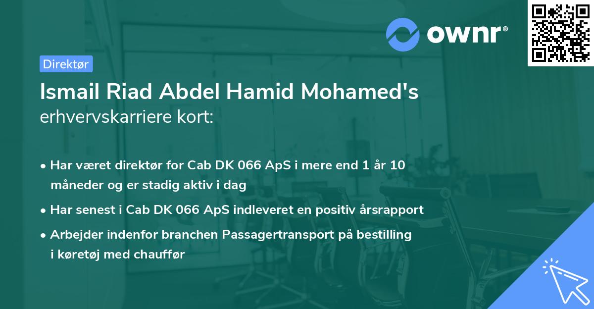 Ismail Riad Abdel Hamid Mohamed's erhvervskarriere kort