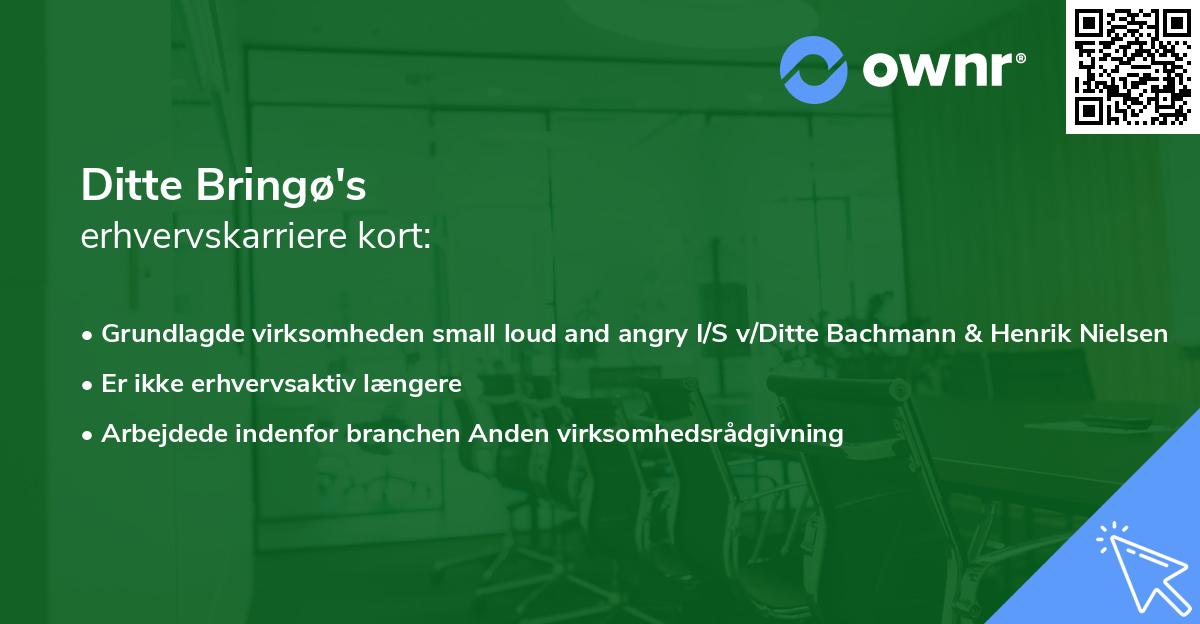 Ditte Bringø's erhvervskarriere kort