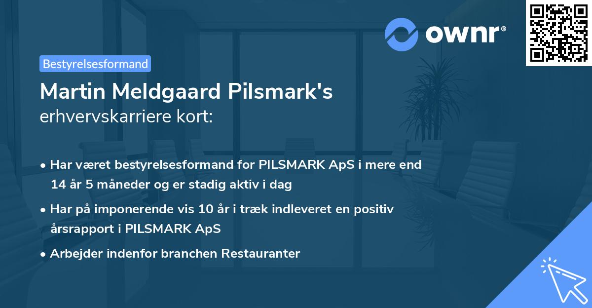 Martin Meldgaard Pilsmark's erhvervskarriere kort