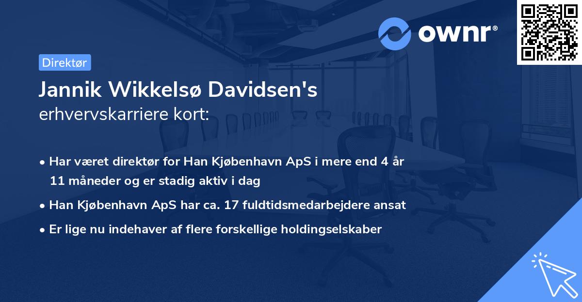 Jannik Wikkelsø Davidsen's erhvervskarriere kort