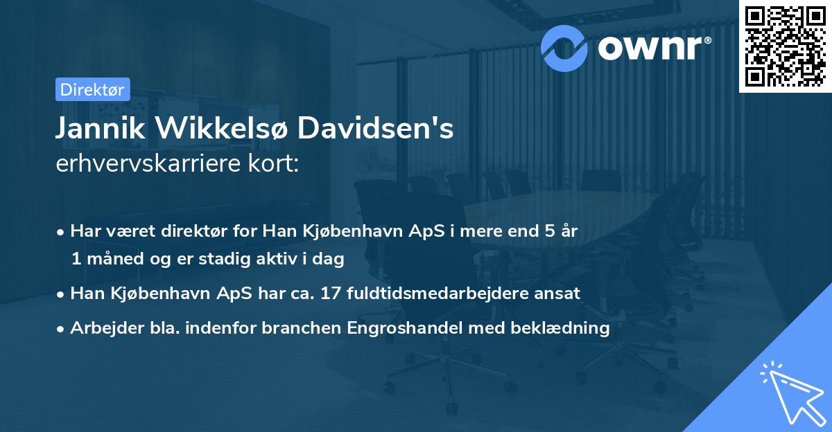 Jannik Wikkelsø Davidsen's erhvervskarriere kort