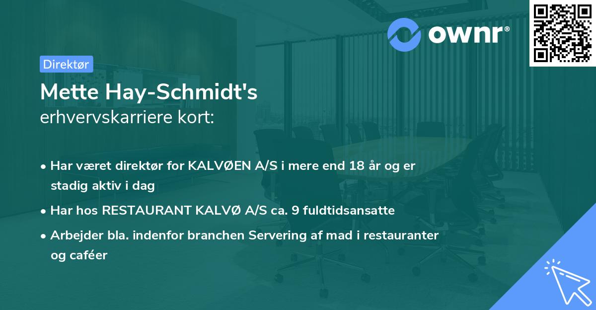 Mette Hay-Schmidt's erhvervskarriere kort