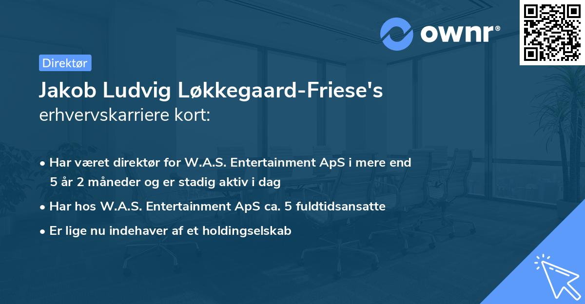 Jakob Ludvig Løkkegaard-Friese's erhvervskarriere kort