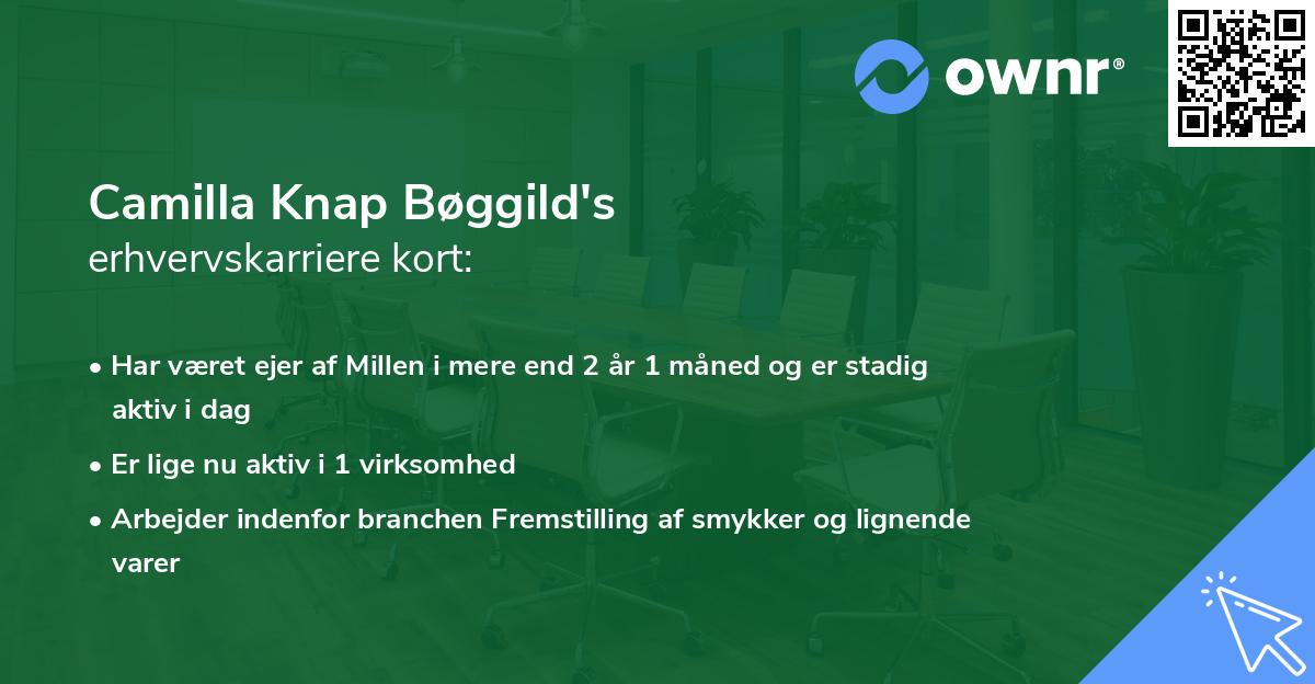 Camilla Knap Bøggild's erhvervskarriere kort