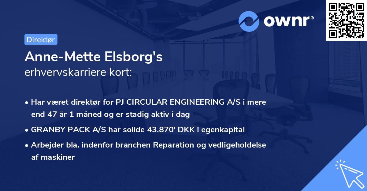 Anne-Mette Elsborg's erhvervskarriere kort