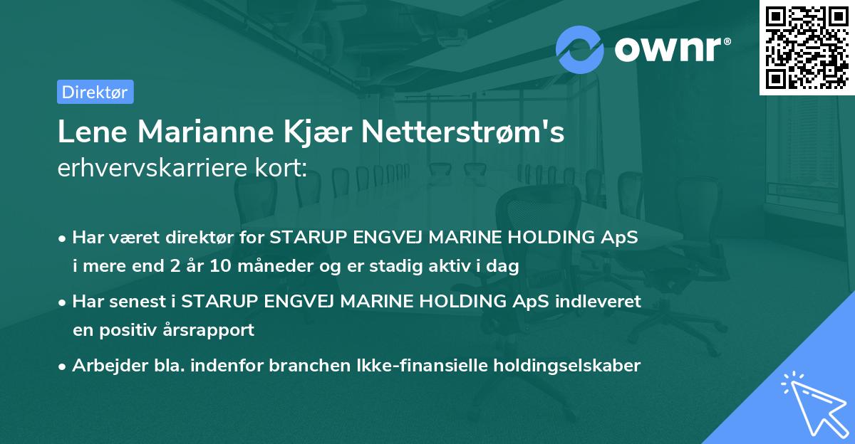 Lene Marianne Kjær Netterstrøm's erhvervskarriere kort