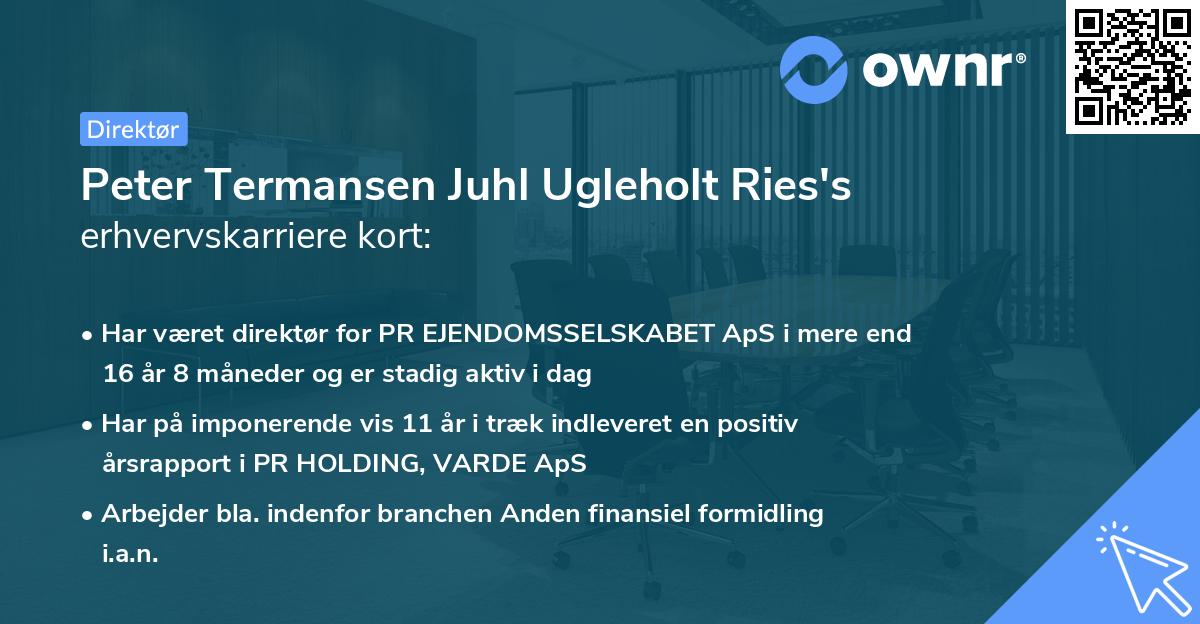 Peter Termansen Juhl Ugleholt Ries's erhvervskarriere kort