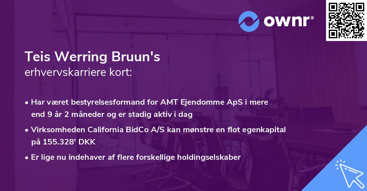 Teis Werring Bruun's erhvervskarriere kort