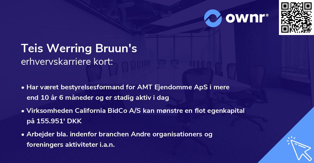Teis Werring Bruun's erhvervskarriere kort
