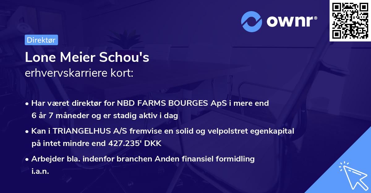 Lone Meier Schou's erhvervskarriere kort