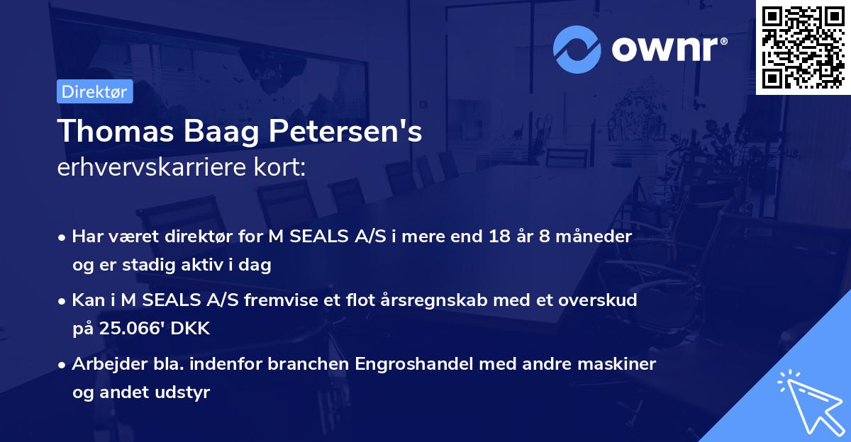 Thomas Baag Petersen's erhvervskarriere kort