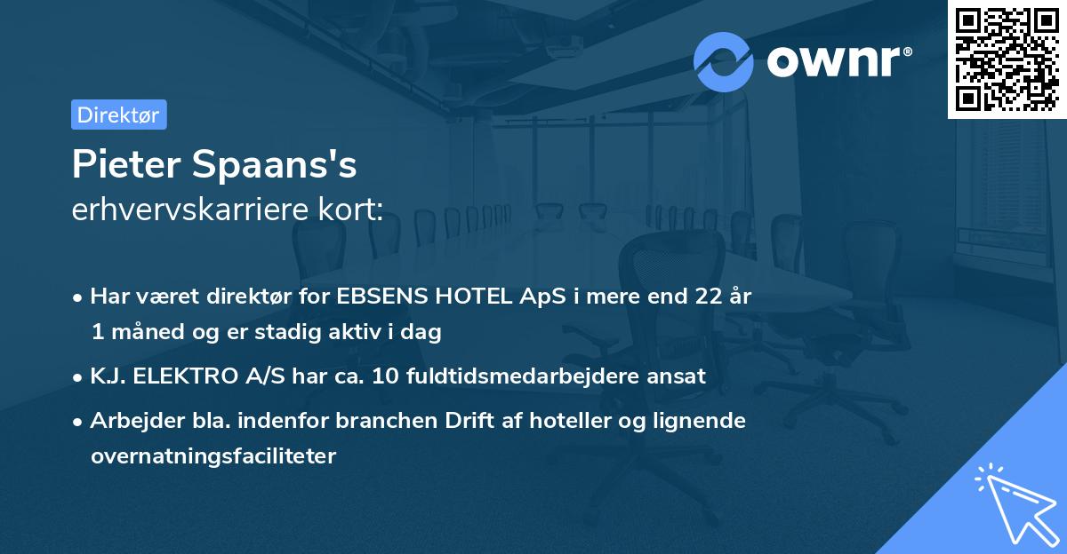 Pieter Spaans's erhvervskarriere kort