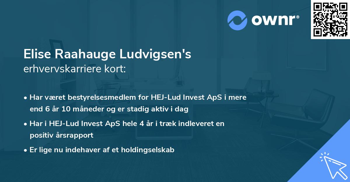 Elise Raahauge Ludvigsen's erhvervskarriere kort