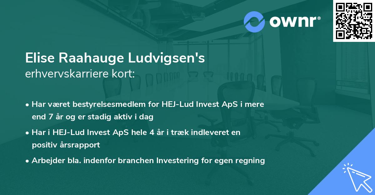 Elise Raahauge Ludvigsen's erhvervskarriere kort