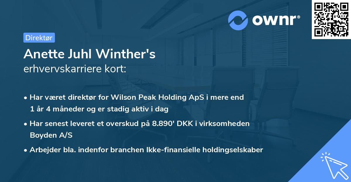 Anette Juhl Winther's erhvervskarriere kort