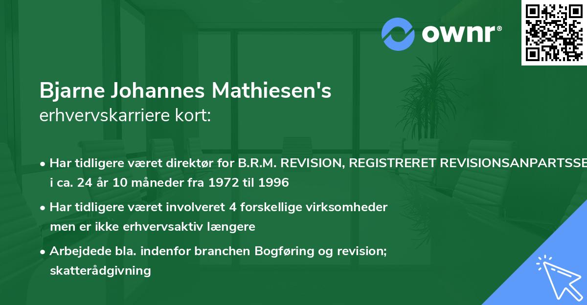 Bjarne Johannes Mathiesen's erhvervskarriere kort