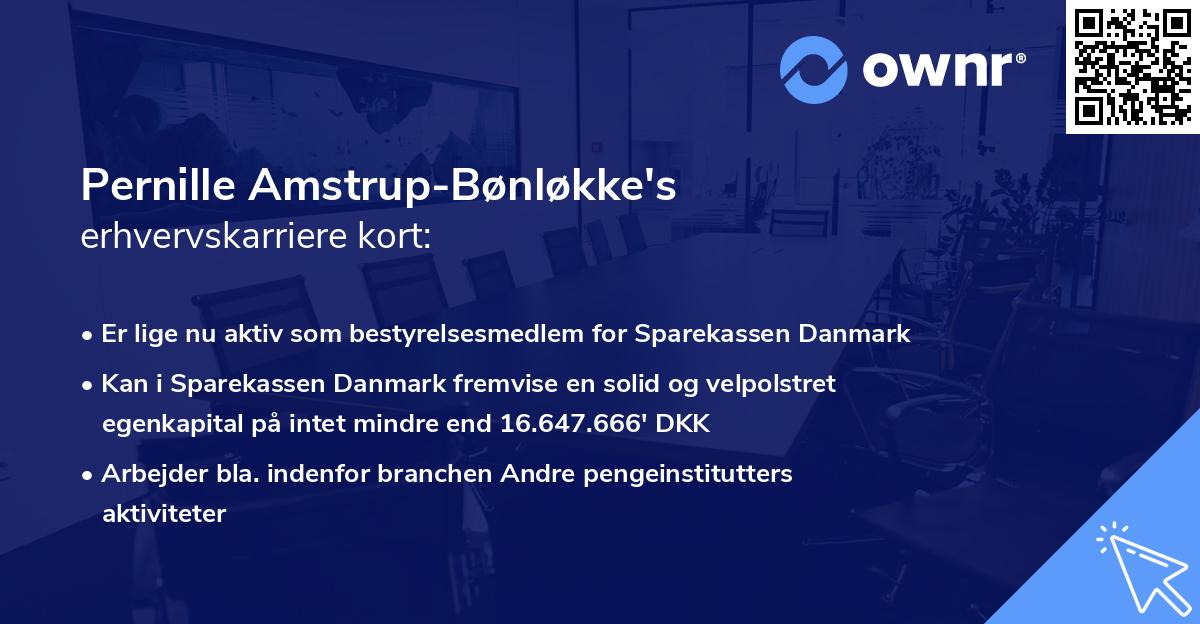 Pernille Amstrup-Bønløkke's erhvervskarriere kort