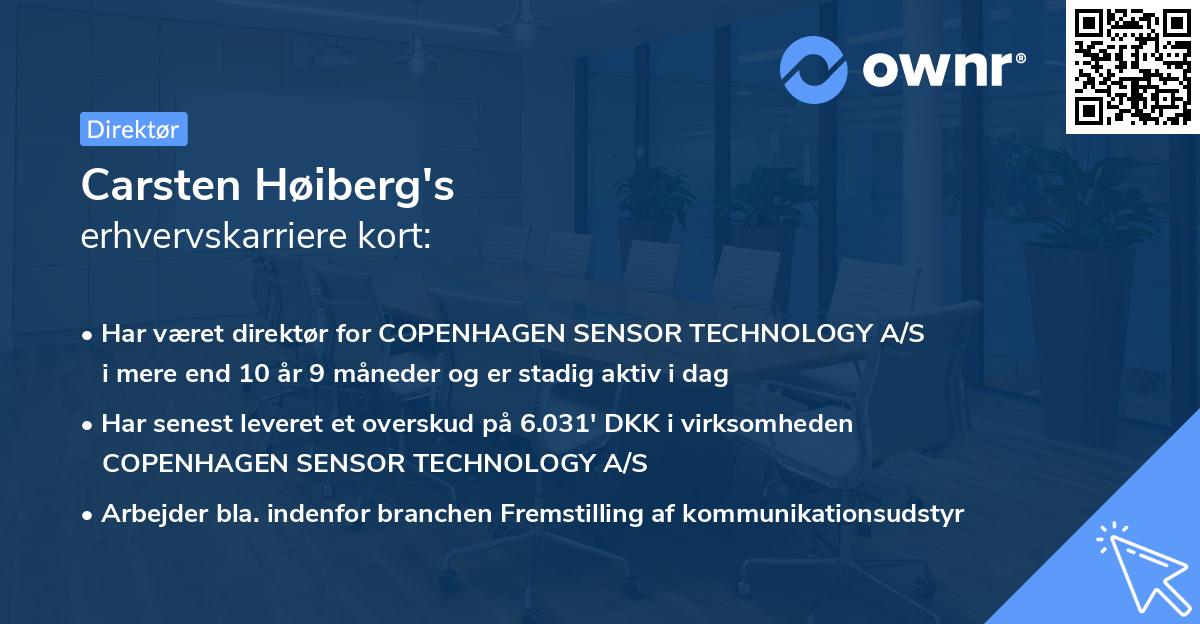 Carsten Høiberg's erhvervskarriere kort