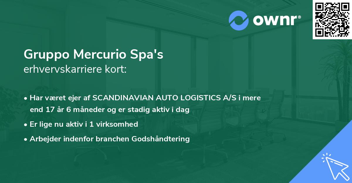 Gruppo Mercurio Spa's erhvervskarriere kort