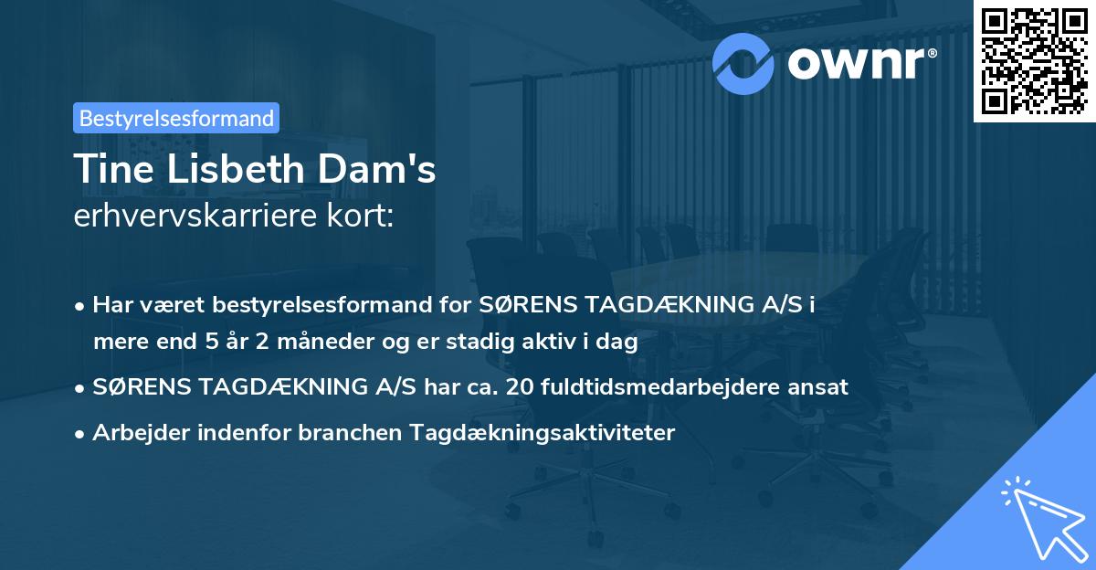 Tine Lisbeth Dam's erhvervskarriere kort