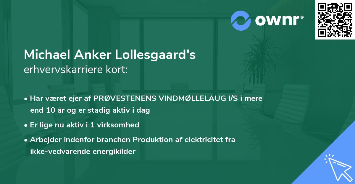 Michael Anker Lollesgaard's erhvervskarriere kort