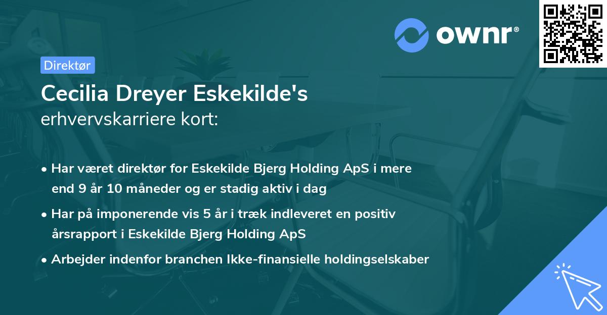 Cecilia Dreyer Eskekilde's erhvervskarriere kort