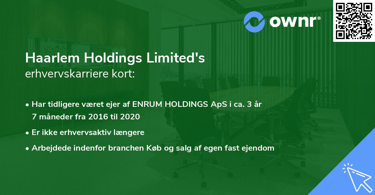 Haarlem Holdings Limited's erhvervskarriere kort